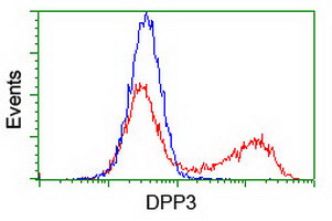 m07788 anti dpp3 mouse monoclonal antibody clone id oti2d9 flow cytometry testing 16