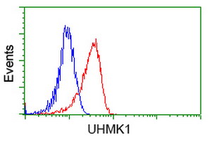 m07817 anti kist uhmk1 mouse monoclonal antibody clone id oti2h4 flow cytometry testing 5