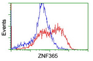 m07837 anti znf365 mouse monoclonal antibody clone id oti8g7 flow cytometry testing 2