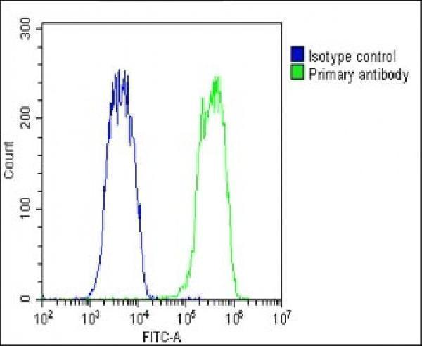 m07911 anti ovgp1 antibody n term fc testing 3