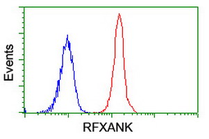 m07934 anti rfxank mouse monoclonal antibody clone id oti3e7 flow cytometry testing 10
