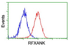 m07934 anti rfxank mouse monoclonal antibody clone id oti3e7 flow cytometry testing 9