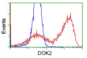 m07956 anti dok2 mouse monoclonal antibody clone id oti1a4 flow cytometry testing 2