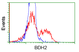 HEK293T cells transfected with either BDH2 (Myc-DDK-tagged) overexpress plasmid (Red) or empty vector control plasmid (Blue) were immunostained by anti-BDH2 antibody (M07970)