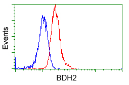 Flow cytometric Analysis of Jurkat cells