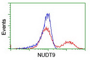m07995 anti nudt9 mouse monoclonal antibody clone id oti7a12 flow cytometry testing 6