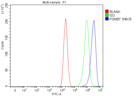 m08095 2 psmb7 primary antibodies fcm testing 2