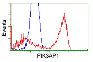 m08114 1 anti pik3ap1 mouse monoclonal antibody clone id oti6h6 flow cytometry testing 3