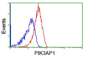 m08114 1 anti pik3ap1 mouse monoclonal antibody clone id oti6h6 flow cytometry testing 4