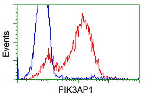 m08114 anti pik3ap1 mouse monoclonal antibody clone id oti7a11 flow cytometry testing 5