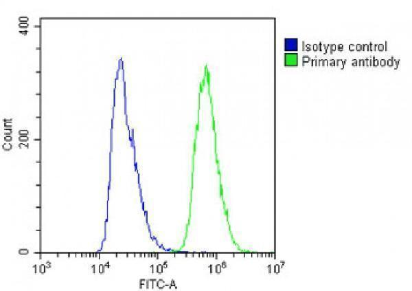 m08116 anti nsfl1c antibody center fc testing 3