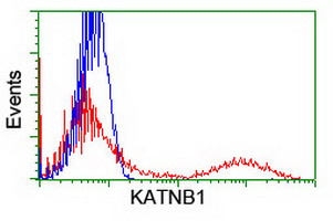 m08144 anti katanin p80 katnb1 mouse monoclonal antibody clone id oti5c4 flow cytometry testing 4