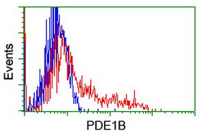 m08156 anti pde1b mouse monoclonal antibody clone id oti6e4 flow cytometry testing 4
