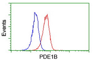m08156 anti pde1b mouse monoclonal antibody clone id oti6e4 flow cytometry testing 5