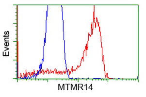 m08168 anti mtmr14 mouse monoclonal antibody clone id oti6b6 flow cytometry testing 4