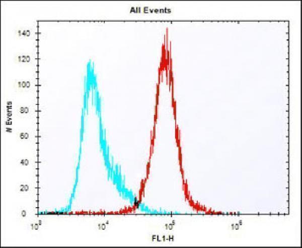 m08182 1 anti mouse cldn6 antibody c term fc testing 2