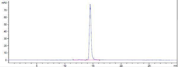 The purity of Anti-CLDN6 Reference Antibody (AB3-7)is more than 98