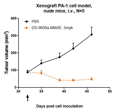 m08182 4 xenograft pa 1 cell model