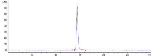 The purity of Anti-CLDN6 Reference Antibody (AB1-11)is more than 98