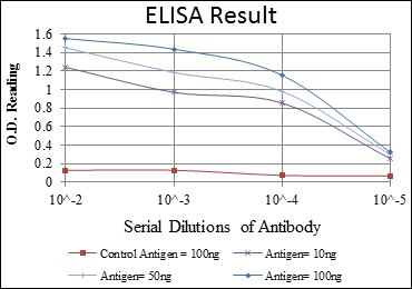 Western Blot analysis using SAPAP1 Monoclonal Antibody against HEK293 (1) and GKAP-hIgGFc transfected HEK293 (2) cell lysate