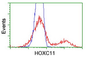 m08258 anti hoxc11 mouse monoclonal antibody clone id oti3e10 flow cytometry testing 9