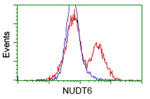 m08301 anti nudt6 mouse monoclonal antibody clone id oti9d12 flow cytometry testing 12