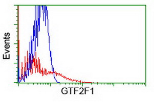 m08313 anti tfiif gtf2f1 mouse monoclonal antibody clone id oti4b10 flow cytometry testing 6