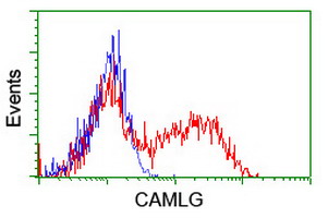 m08322 anti camlg mouse monoclonal antibody clone id oti1a3 flow cytometry testing 6
