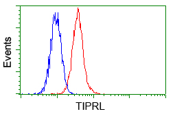 Flow cytometric analysis of Hela cells