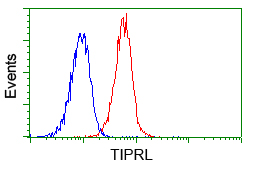 Flow cytometric analysis of Jurkat cells