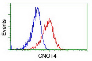 m08405 1 anti cnot4 mouse monoclonal antibody clone id oti3d11 flow cytometry testing 2