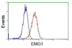 Flow cytometric Analysis of Hela cells
