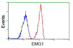 m08458 anti emg1 mouse monoclonal antibody clone id oti1b8 flow cytometry testing 4