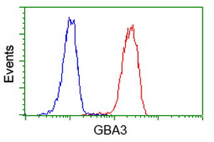 m08549 anti gba3 mouse monoclonal antibody clone id oti1f1 flow cytometry testing 21