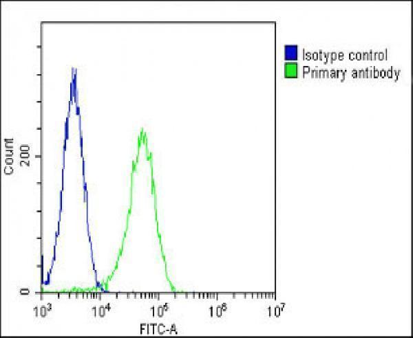 m08640 anti pgap1 antibody n term fc testing 3