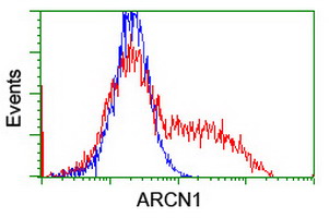 m08725 1 anti coatomer subunit delta arcn1 mouse monoclonal antibody clone id oti6a6 flow cytometry testing 7