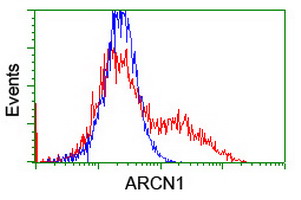 m08725 anti coatomer subunit delta arcn1 mouse monoclonal antibody clone id oti4h9 flow cytometry testing 9