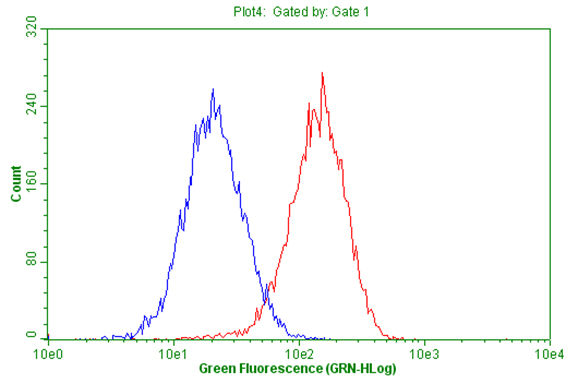 Flow cytometric Analysis of living K562 cells