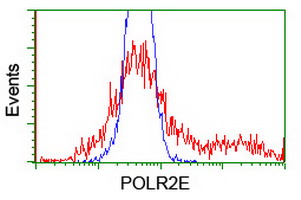 m08765 anti polr2e mouse monoclonal antibody clone id oti3b5 flow cytometry testing 11