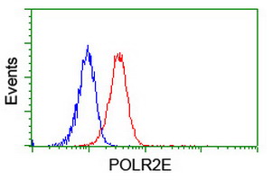 m08765 anti polr2e mouse monoclonal antibody clone id oti3b5 flow cytometry testing 12