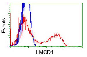 m08888 anti lmcd1 mouse monoclonal antibody clone id oti1h5 flow cytometry testing 3
