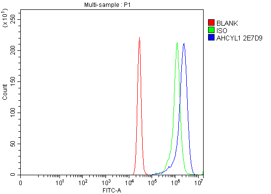 m08908 ahcyl1 primary antibodies fcm testing 2