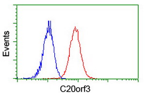 m08954 anti apmap mouse monoclonal antibody clone id oti4f6 flow cytometry testing 17