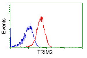 Flow cytometric Analysis of Hela cells