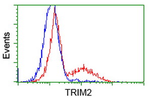 HEK293T cells transfected with either TRIM2 (Myc-DDK-tagged) overexpress plasmid (Red) or empty vector control plasmid (Blue) were immunostained by anti-TRIM2 antibody (M08957)