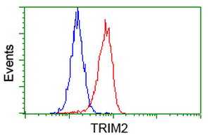 m08957 anti rnf86 trim2 mouse monoclonal antibody clone id oti2b10 flow cytometry testing 4