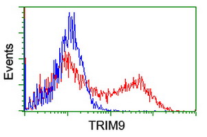 HEK293T cells transfected with either TRIM9 (Myc-DDK-tagged) overexpress plasmid (Red) or empty vector control plasmid (Blue) were immunostained by anti-TRIM9 antibody (M08967)