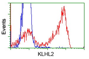 m09066 anti klhl2 mouse monoclonal antibody clone id oti1g7 flow cytometry testing 3