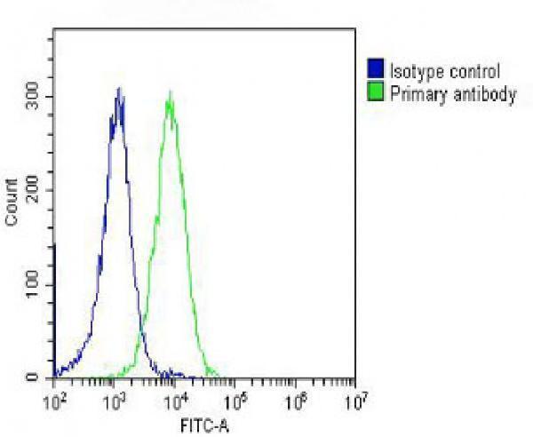 Overlay histogram showing Hela cells stained with M09096 (green line)