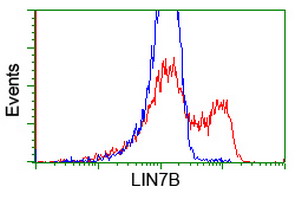 m09113 anti lin7 lin7b mouse monoclonal antibody clone id oti1c9 flow cytometry testing 5